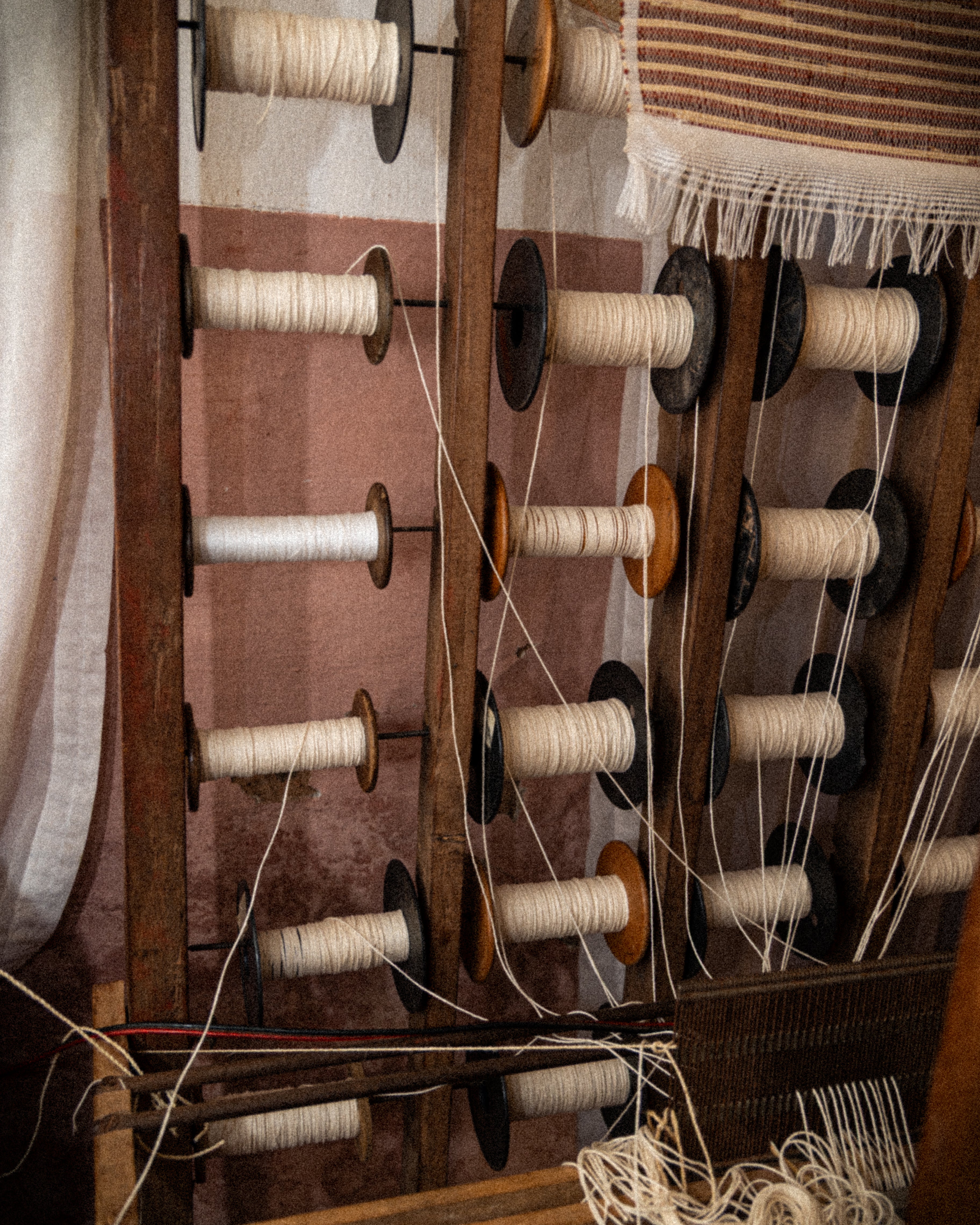 Les fils du tissage : lorsque chaque fibre devient une histoire